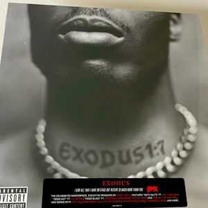 DMX EXODUS VINYL